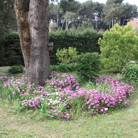 Ecole Buissonniere Διαμέρισμα Αντίμπ Εξωτερικό φωτογραφία